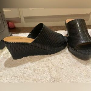 Pierre Dumas Wedges